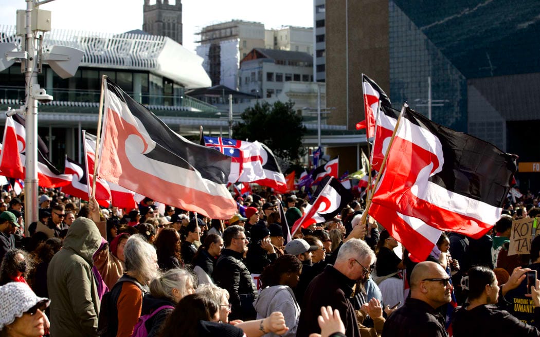 Protestors gather in Auckland's Aotea Square
