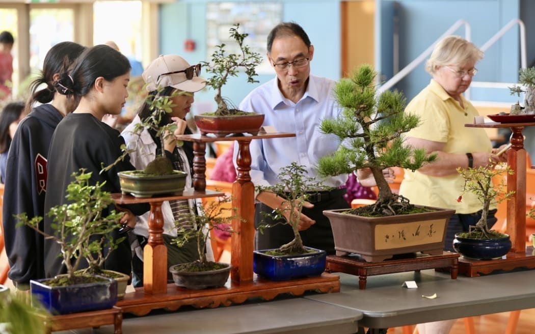 New Zealand Chinese Bonsai Society event