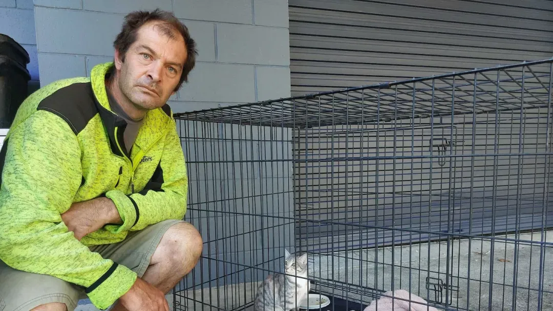 新西兰家猫在社区被枪杀惨死,主人“好害怕”