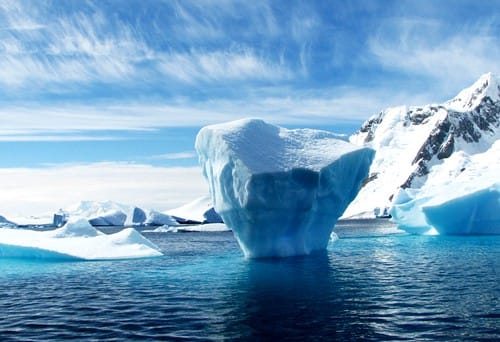 科学家发现全球变暖造成南极地表植物变多
