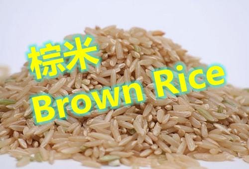 棕米Brown Rice的知识