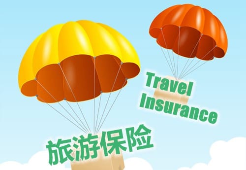 新西兰保险公司提供的旅游保险通常涵盖什么方面？