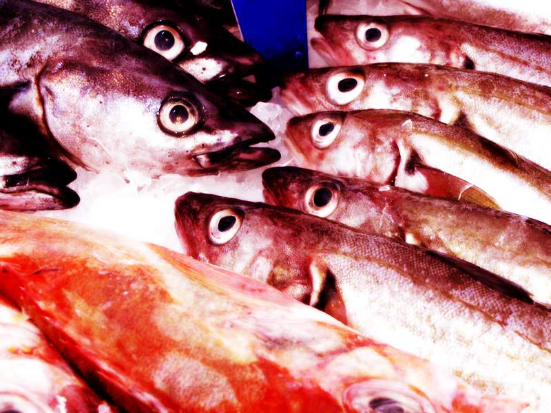 英语谚语“红鲱鱼” red herring