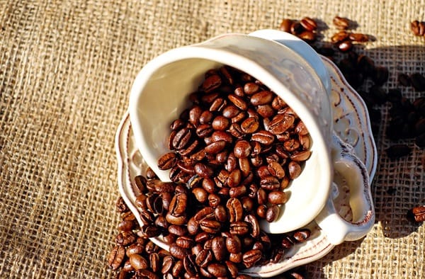 为什么新西兰的意式浓缩咖啡用的是深度烘焙的咖啡豆？
