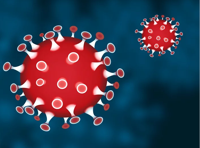 新西兰全国新增8例新冠病毒感染病例