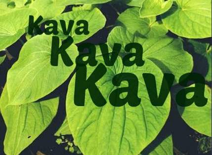 斐济特产卡瓦酒Kava Kava