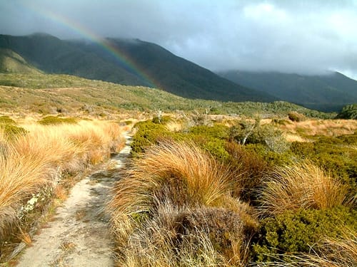 新西兰南岛著名徒步路线希菲步道 Heaphy Track