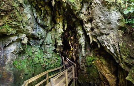 新西兰北岛卡维提萤火虫洞Kawiti Caves