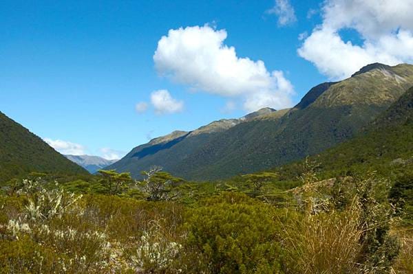 新西兰南岛景点刘易斯山口 Lewis Pass