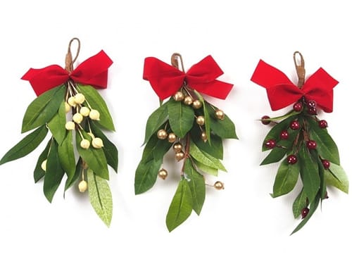 圣诞节的重要元素槲寄生 Mistletoe