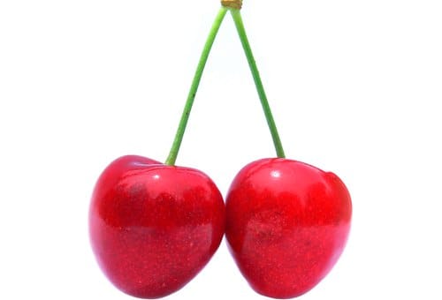 新西兰常见樱桃品种
