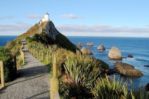 新西兰南岛努盖特角 Nugget Point