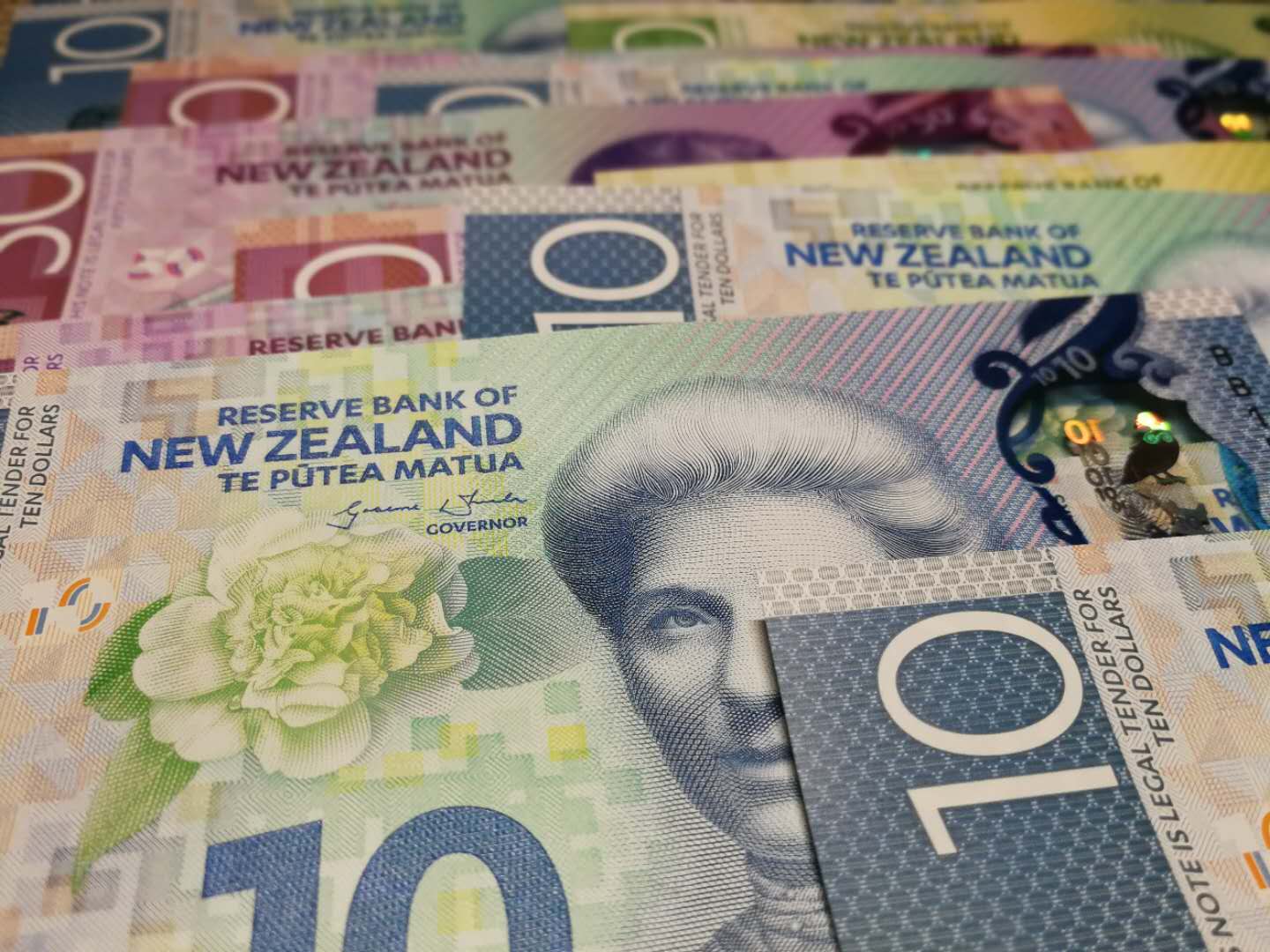 新西兰独立收入者补助退税计划 IETC