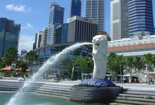 持新西兰签证申请新加坡过境签证VFTF