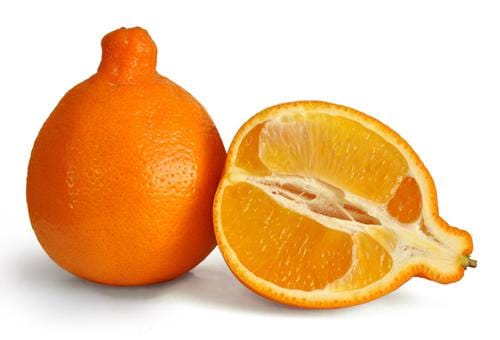新西兰橘柚Tangelos