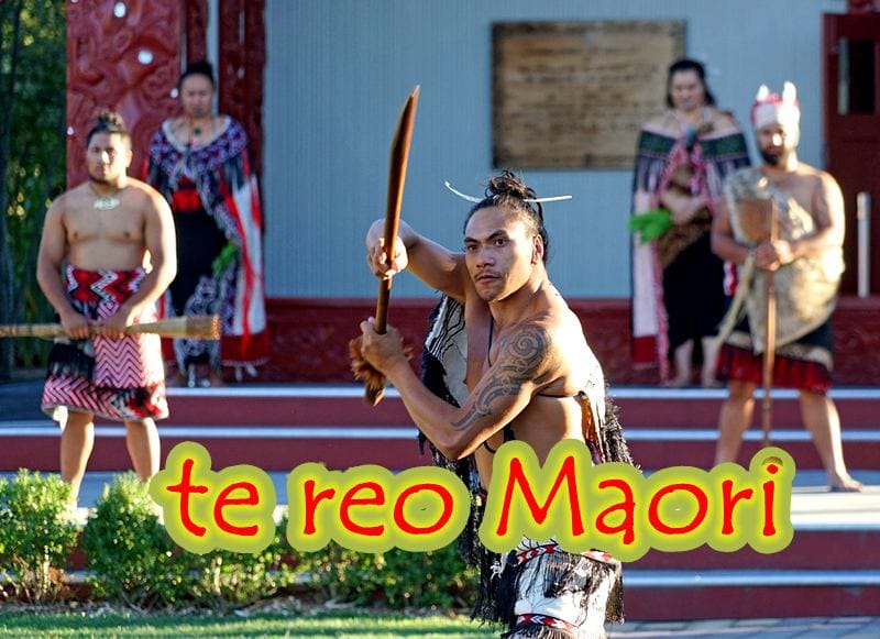 什么是 Te Reo Māori ？