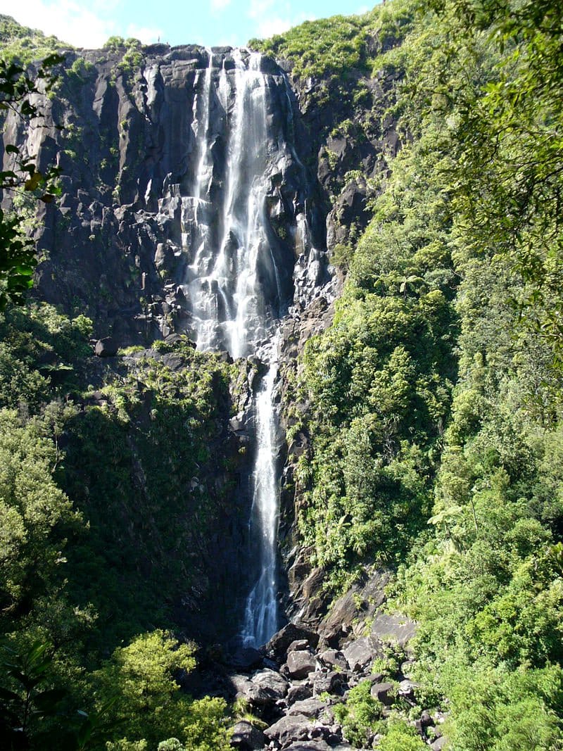 新西兰北岛怀卡托地区的怀里里瀑布 Wairere Falls
