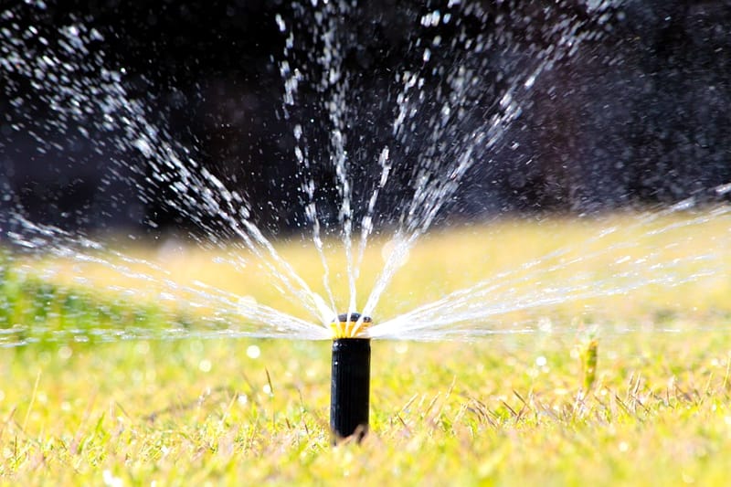 干旱的夏季如何给自家草坪浇水？