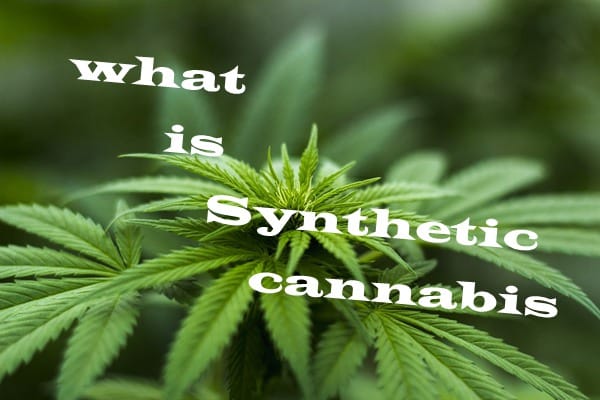 新西兰毒品“人工合成大麻” Synthetic Cannabis