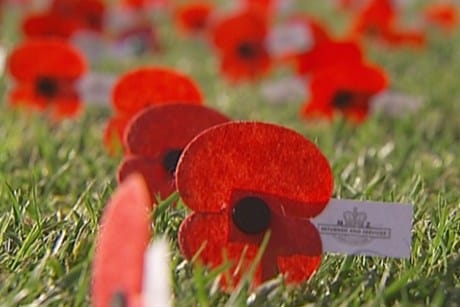 anzac-day-poppy