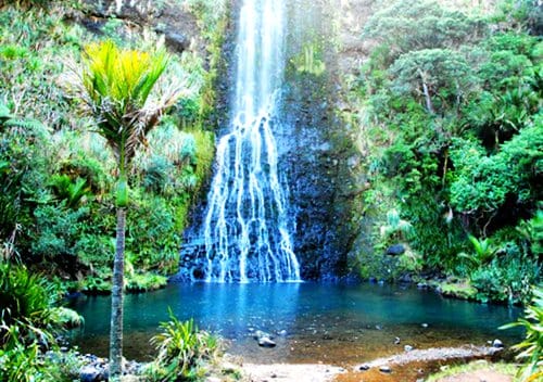 auckland-fairy-falls