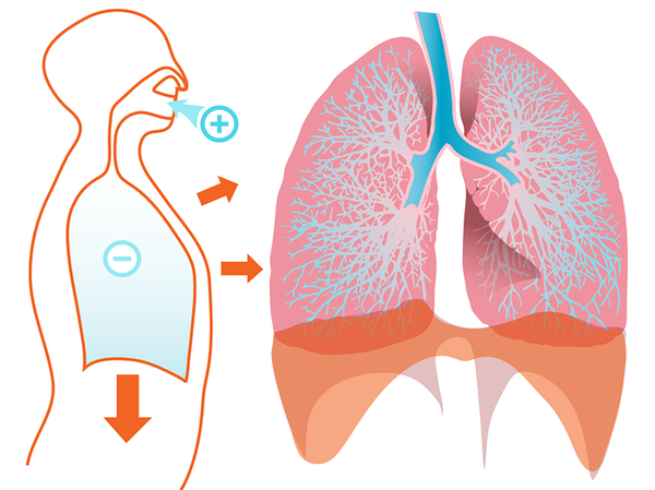 breathing-respiration-difference