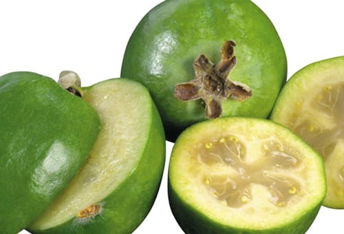 feijoa-n-fiji