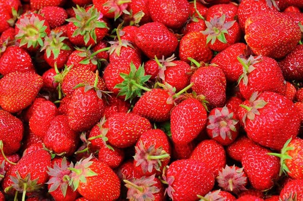 good-manner-for-picking-strawberry-in-farm