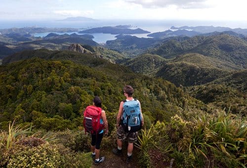 great-barrier-island