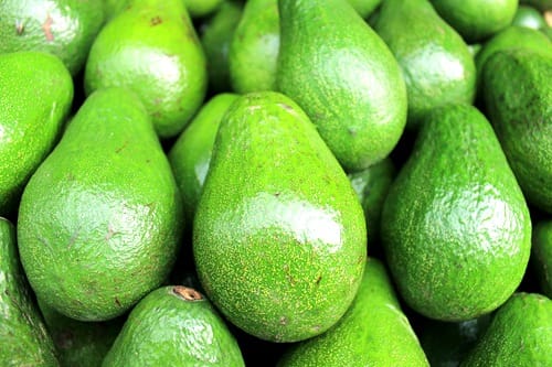 growers-speak-out-over-avocado-thefts