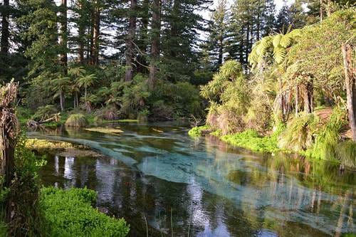 hamurana-springs