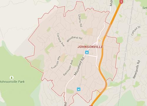 johnsonville-wellington