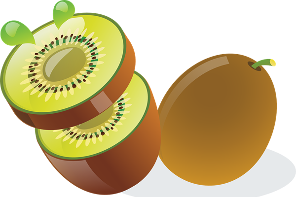 kiwifruit-pollination