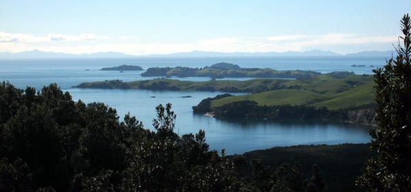 motutapu-island