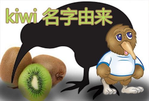 nickname-kiwi-came-from