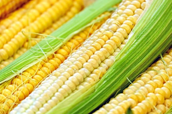 nz-sweet-corn