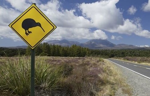 safety-instruction-on-nz-road