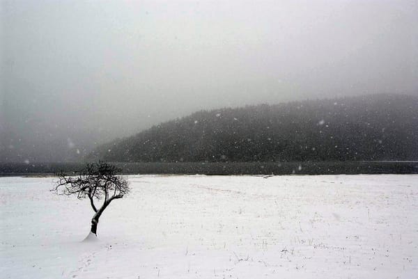 新西兰家用汽车需要雪地轮胎吗？