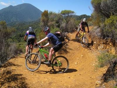 south-island-cycle-trail