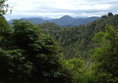 te-urewera-national-park