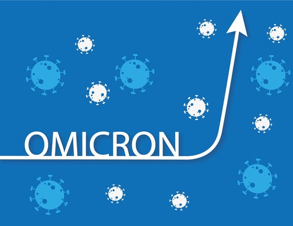 why-are-there-so-many-new-omicron-sub-variants