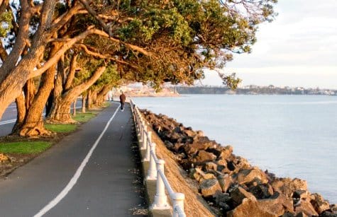 auckland-cycling-routes