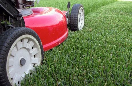 how-to-choose-lawn-mower