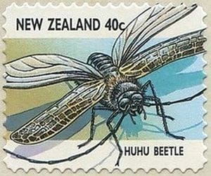 huhu-beetle-stamp