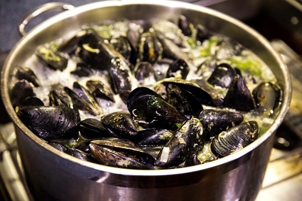 mussels-warning-after-coromandel-food-poisoning-outbreak