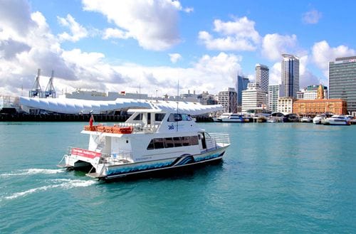 new-gulf-harbour-ferry-timetable