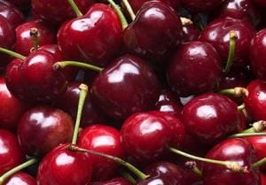 new-zealand-cherry