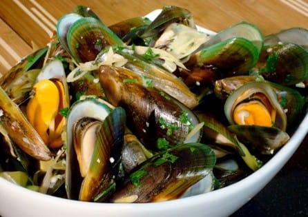 new-zealand-mussels