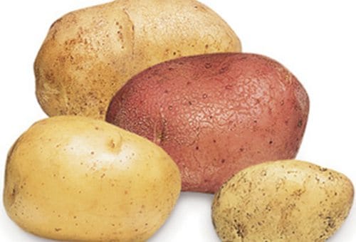 new-zealand-potatoes