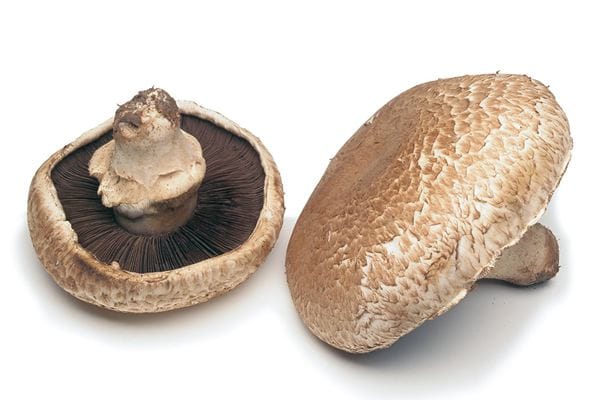 portobello-flat-mushroom